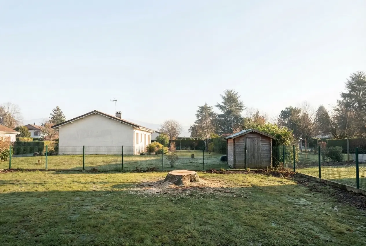 Terrain dégagé après abattage d'un épicéa à Chambéry